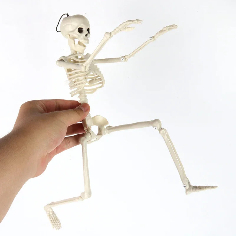 Skeleton Halloween Decorations 40cm Posable Plastic Skeletons